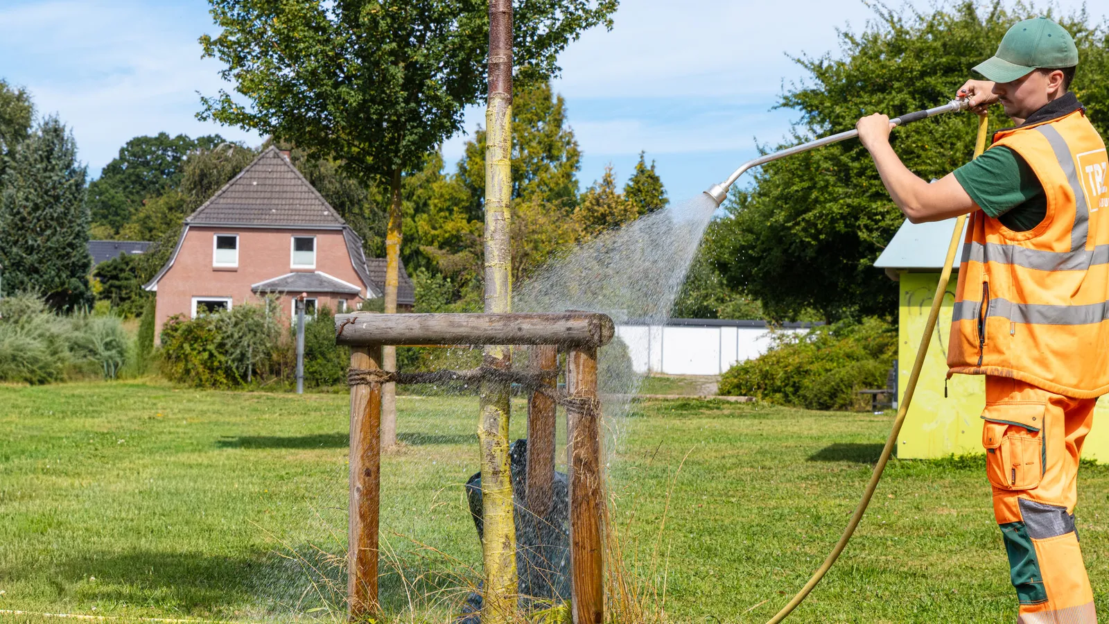A TBZ worker in a high-visibility vest waters a young tree with a hose, the stream landing on the mound of soil at the trunk